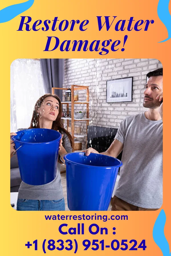 water restoration Prestige Water Damage LLC Merino