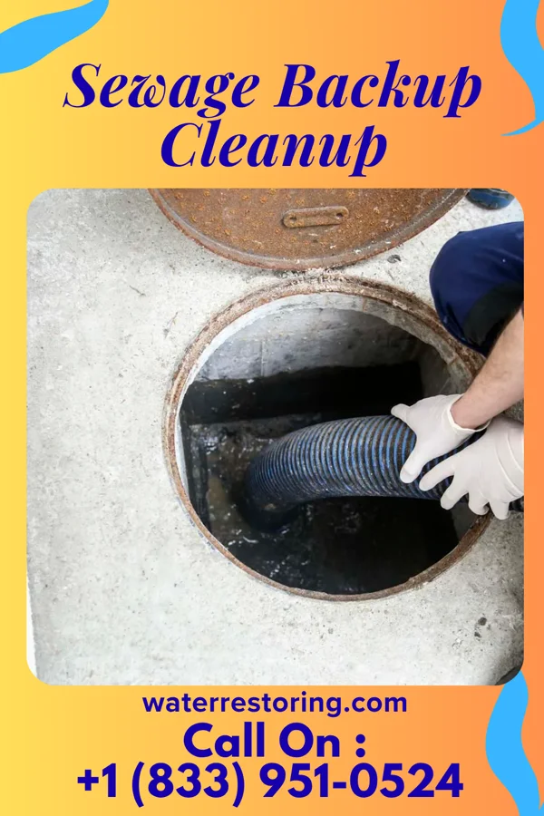 Sewage Backup Cleanup in Merino, CO